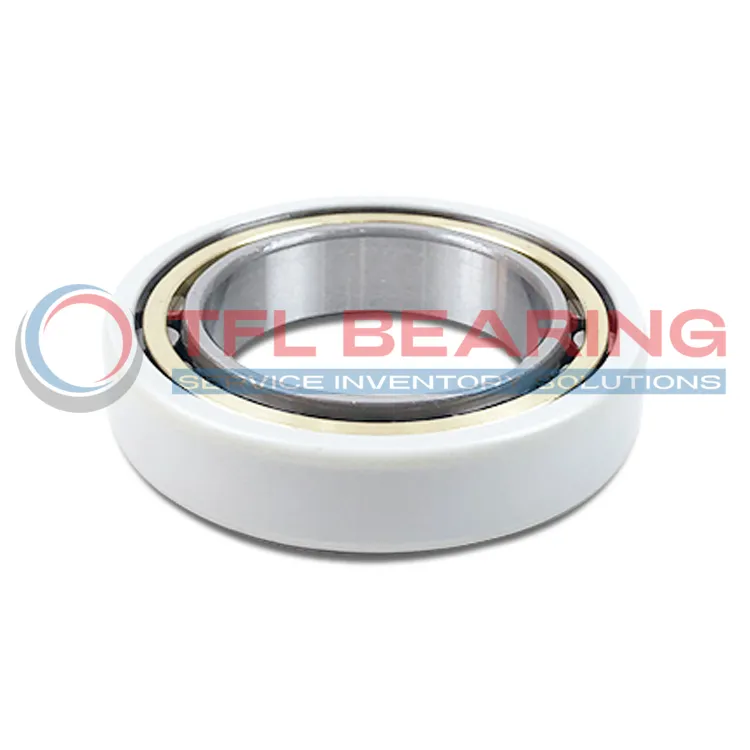 FAG Current-Insulated Single Row Cylindrical Roller Bearing NU1018-XL-M1-F1-J20AA-C4